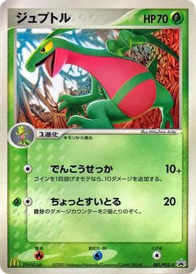 Grovyle - 081/PCG-P