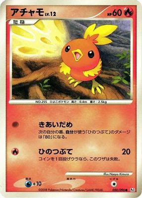 Torchic