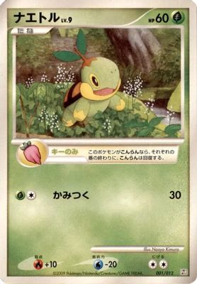 Turtwig