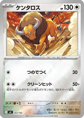 Tauros (Mirror Holo)
