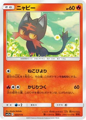 Litten (Mirror Holofoil)