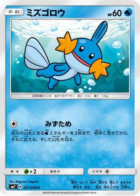 Mudkip - 021/096