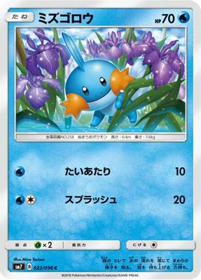 Mudkip - 022/096