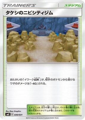 Brock's Pewter City Gym