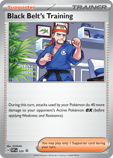 Black Belt's Training