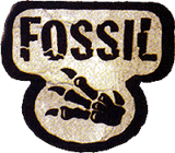 Fossil