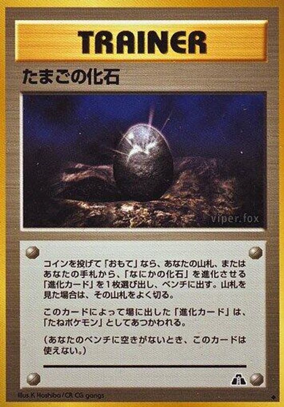 Fossil Egg