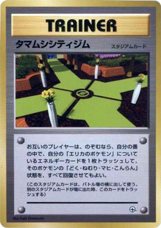Celadon City Gym