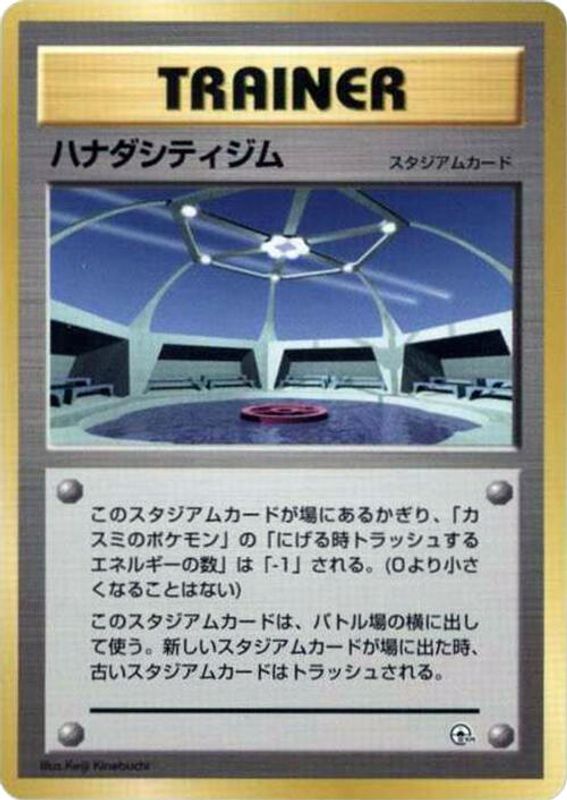Cerulean City Gym