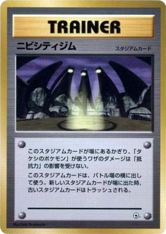 Pewter City Gym